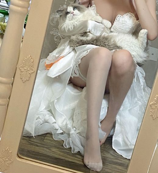 高清无码大秀视频_蓝光免费高清观看