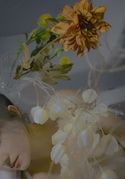 玩弄中年熟妇在线播放_HD超清免费观看
